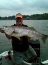 35lb Striper TN fish