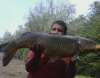 big carp fish