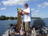 51" muskalunge fish