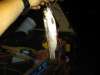 muskegon river rainbow fish