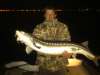 Sturg-on fish