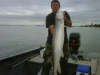 nice sturg-on fish