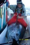 850 lb bluefin tuna fish
