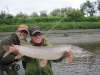 49" northern pike fish