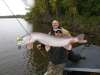 50" northern pike fish