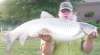 grass carp 30 pounds fish