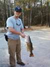 biggin 2 fish