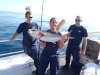 Amber Jack fish
