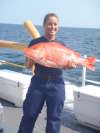 Red Snapper fish