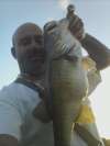 fat bass fish