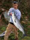 40 inch rockfish