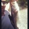 Summer Catch fish