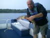 Chain Pickerel (or Pike???) fish