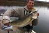13lb wall eye fish