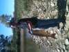 Grass carp fish