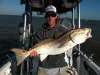 36 inch red drum. mobile bay 15 march 2013 fish