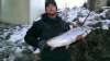 Big hen steelie fish