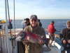Big Bull Sheepshead fish