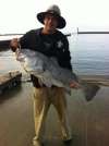 Christmas Eve Black Drum from LAND... fish