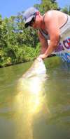 big barra fish