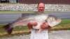 New Missouri State Record fish