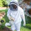 Ultra breeze bee suit | 3 layer bee suit fish