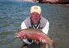 Big Brite 'Bow fish