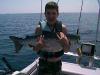 24.4 pound salmon fish