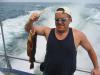my cod fish