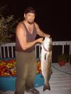 striper fish