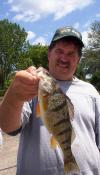 Lake Michigan Perch fish