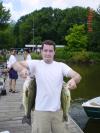 Largemouth Bass fish