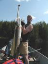 Little  Brother's Mangler fish
