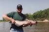Red River Channel Cat fish