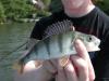 Small fish, very beautiful tho.