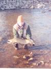 Big Brown fish