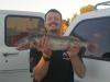 Montana Sauger fish