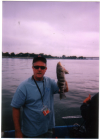 bills BASS fish