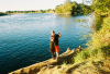 Sacramento King Salmon fish