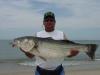 My Striper fish