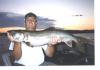 Nice Laker fish