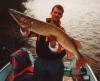 49" northern pike fish