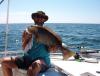 Doc's Spring Grouper fish