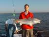 38 inch bull redfish