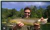 A Cat Fish