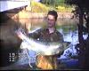 salmon 2 fish