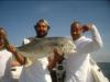 Big Jack. fish