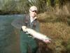 Alsea Steel fish