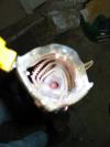Pickerel Teeth fish