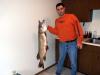 WOW fish